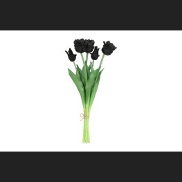 Tulp (parkiet) Boeket Zwart, 808554