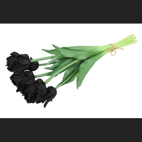 Tulp (parkiet) Boeket Zwart, 808554