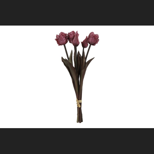 Tulp (parkiet) Boeket Fuchsia, 809934
