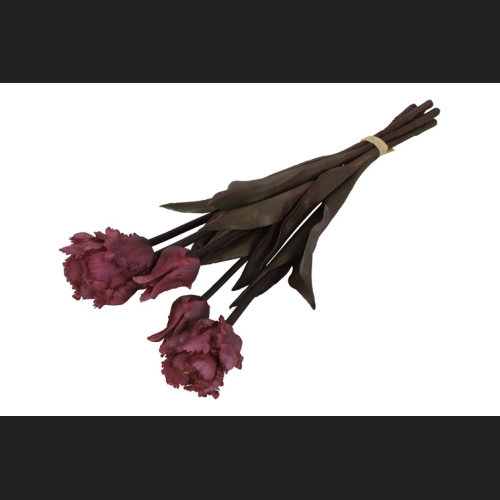 Tulp (parkiet) Boeket Fuchsia, 809934