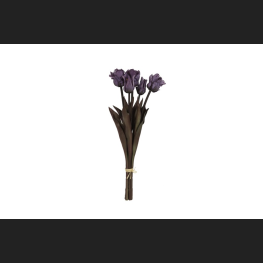 Tulp (parkiet) Boeket Paars, 809935