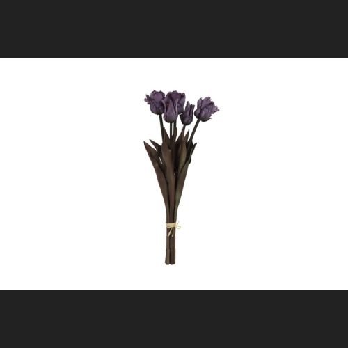 Tulp (parkiet) Boeket Paars, 809935