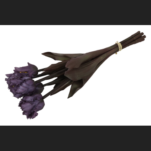Tulp (parkiet) Boeket Paars, 809935