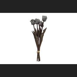 Tulp (parkiet) Boeket Grijs, 809937