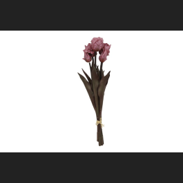 Tulp (parkiet) Boeket Roze, 809939