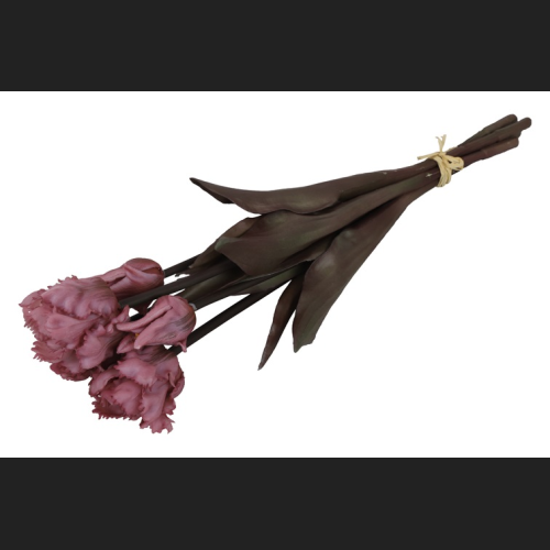 Tulp (parkiet) Boeket Roze, 809939