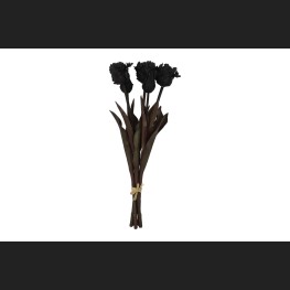 Tulp (parkiet) Boeket Zwart, 809940