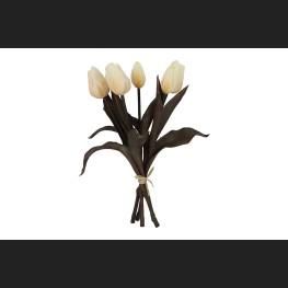 Tulp Boeket Wit, 809941