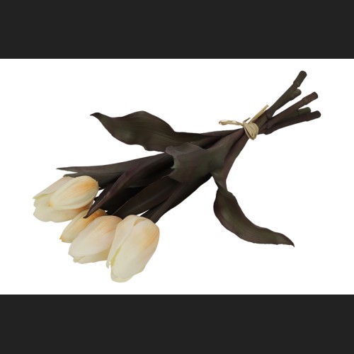 Tulp Boeket Wit, 809941