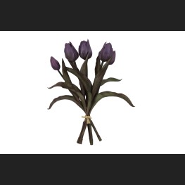 Tulp Boeket Paars, 809947