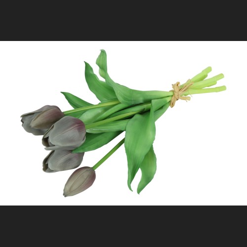 Tulp Boeket Grijs, 816920