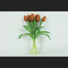 Tulp Boeket Oranje, 816921