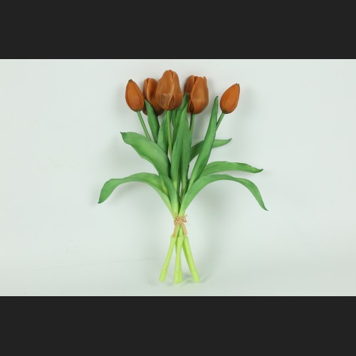 Tulp Boeket Oranje, 816921