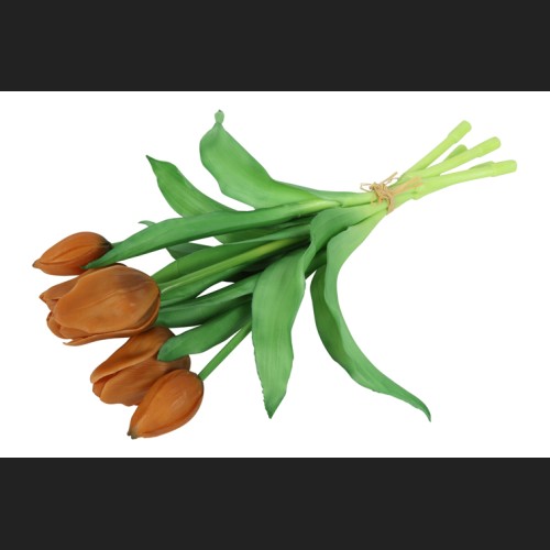 Tulp Boeket Oranje, 816921
