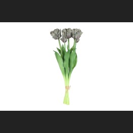 Tulp (parkiet) Boeket Grijs, 816923