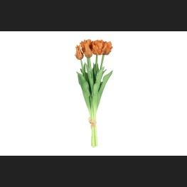 Tulp (parkiet) Boeket Oranje, 816924
