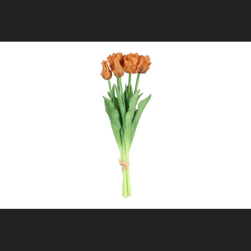 Tulp (parkiet) Boeket Oranje, 816924