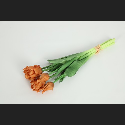 Tulp (parkiet) Boeket Oranje, 816924