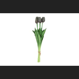 Tulp Boeket Grijs, 816926