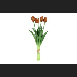 Tulp Boeket Oranje, 816927