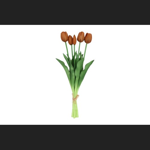 Tulp Boeket Oranje, 816927