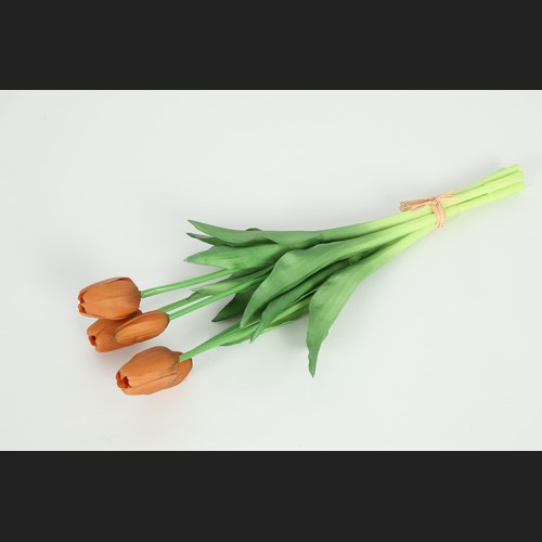 Tulp Boeket Oranje, 816927
