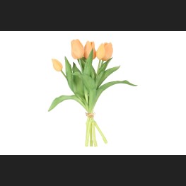 Tulp Boeket Zalm, 821117