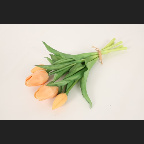 Tulp Boeket Zalm, 821117