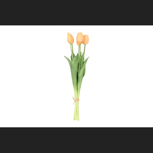 Tulp Boeket Zalm, 821119