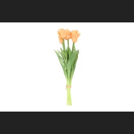 Tulp (parkiet) Boeket Zalm, 821121