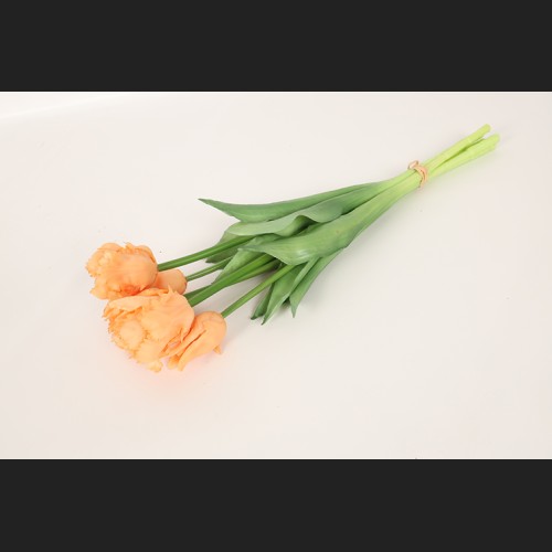Tulp (parkiet) Boeket Zalm, 821121