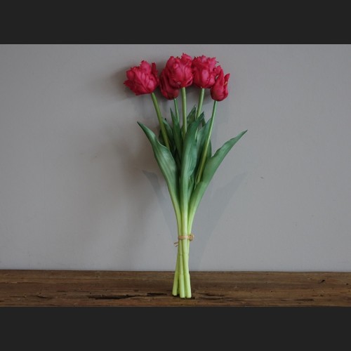 Tulp (parkiet) Boeket Fuchsia, 802400